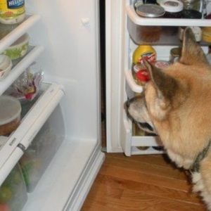 Meet your Posher, Hikeacanyon